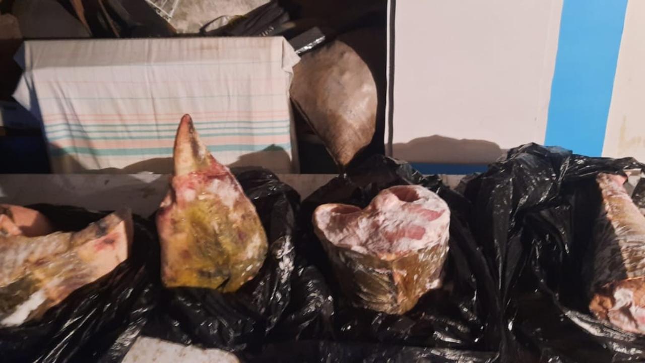 В Хабаровском крае полицейские уличили местного жителя в незаконном хранении калуги и чёрной икры
