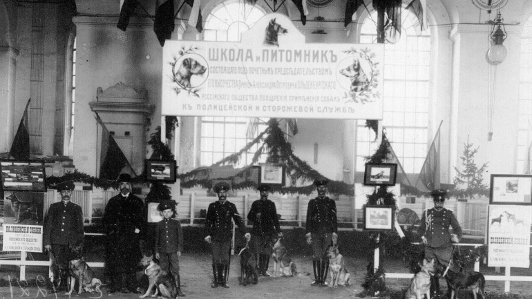 Шла по следу Муха