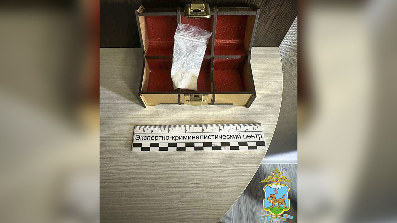 Житель Великих Лук, с целью сбыта производивший амфетамин в своей квартире, заключён под стражу
