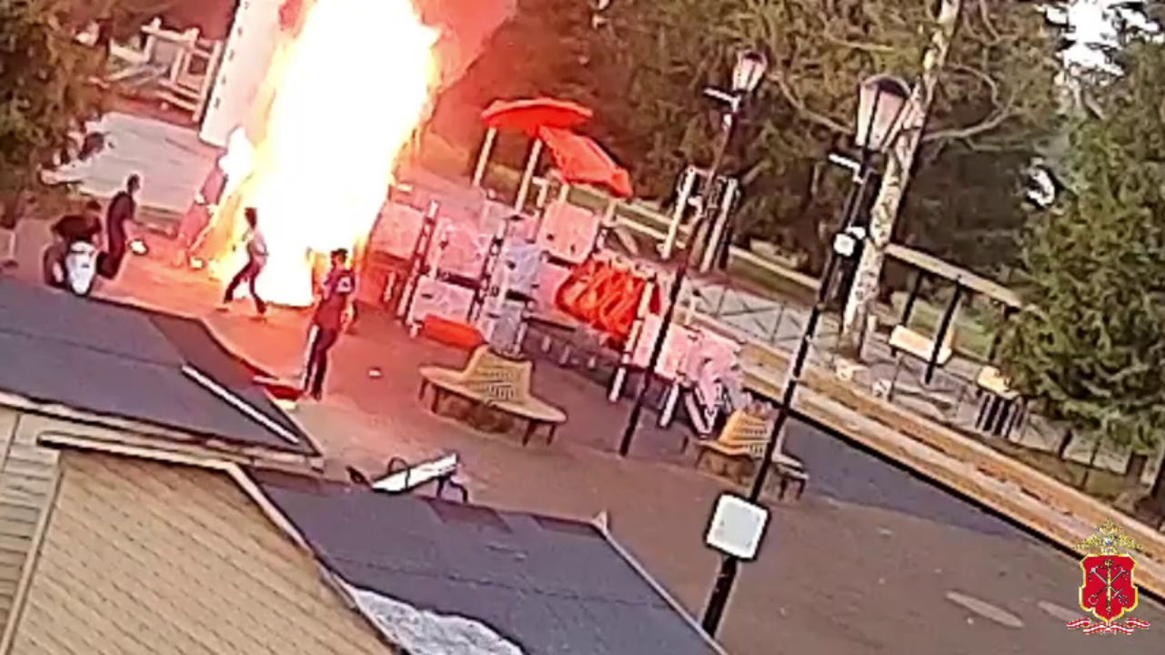 В Ленинградской области за поджог детской площадки полицейские задержали пятерых подростков