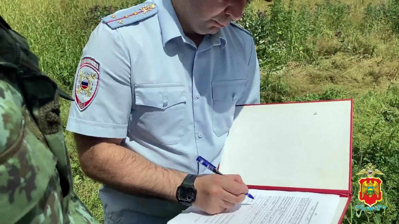 Уничтожены крупные очаги произрастания конопли, выявленные правоохранителями в Кабардино-Балкарии