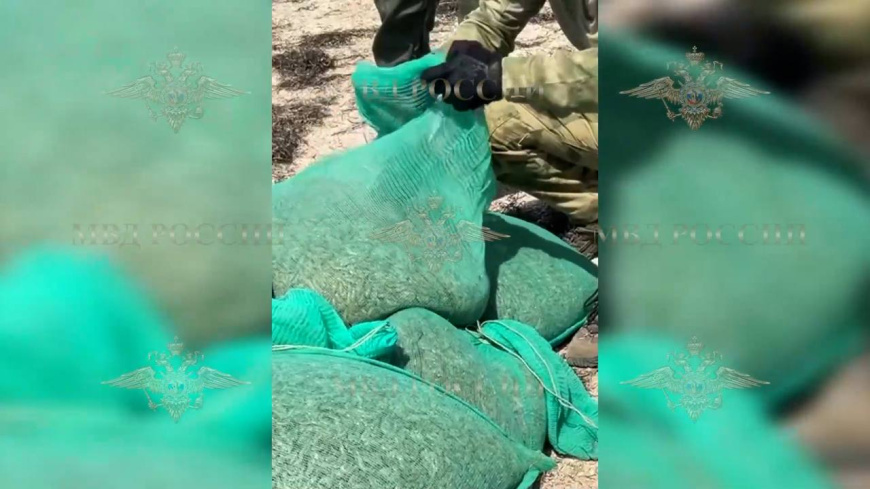 В Херсонской области полицейские задержали подозреваемых в незаконном вылове креветок