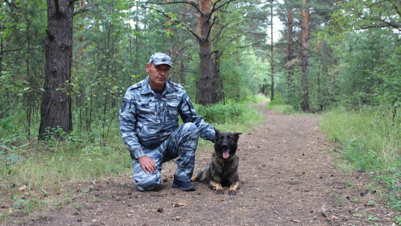 В Красноярском крае кинолог со служебной собакой разыскали потерявшуюся в бору 84-летнюю женщину