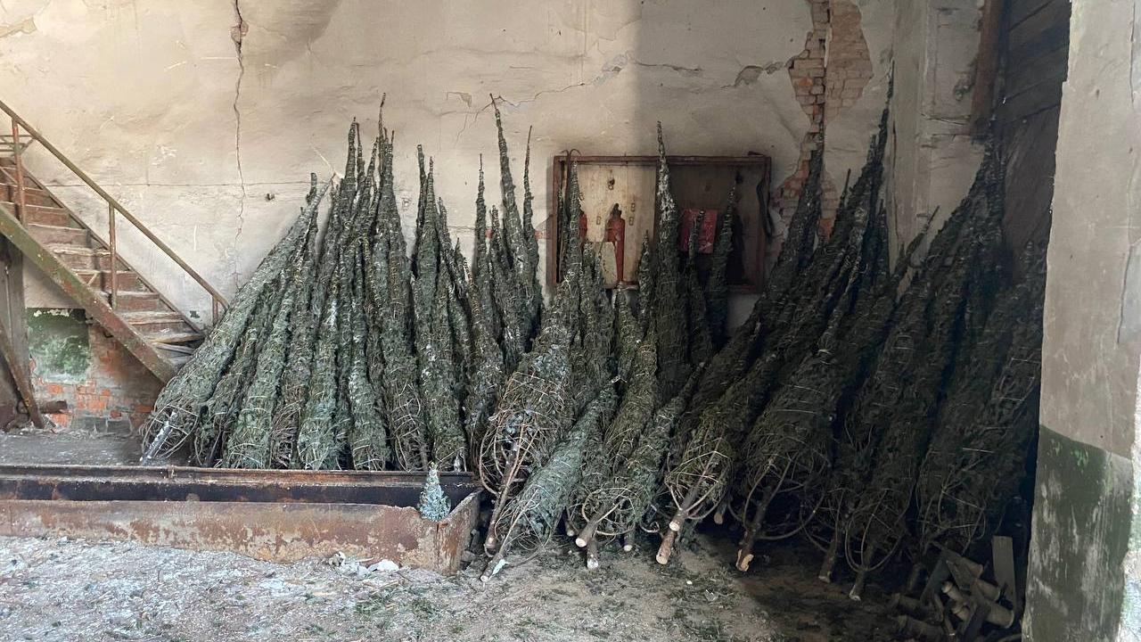 Полицией передано в суд уголовное дело о незаконной рубке леса на 1,8 млн рублей в Хабаровском крае