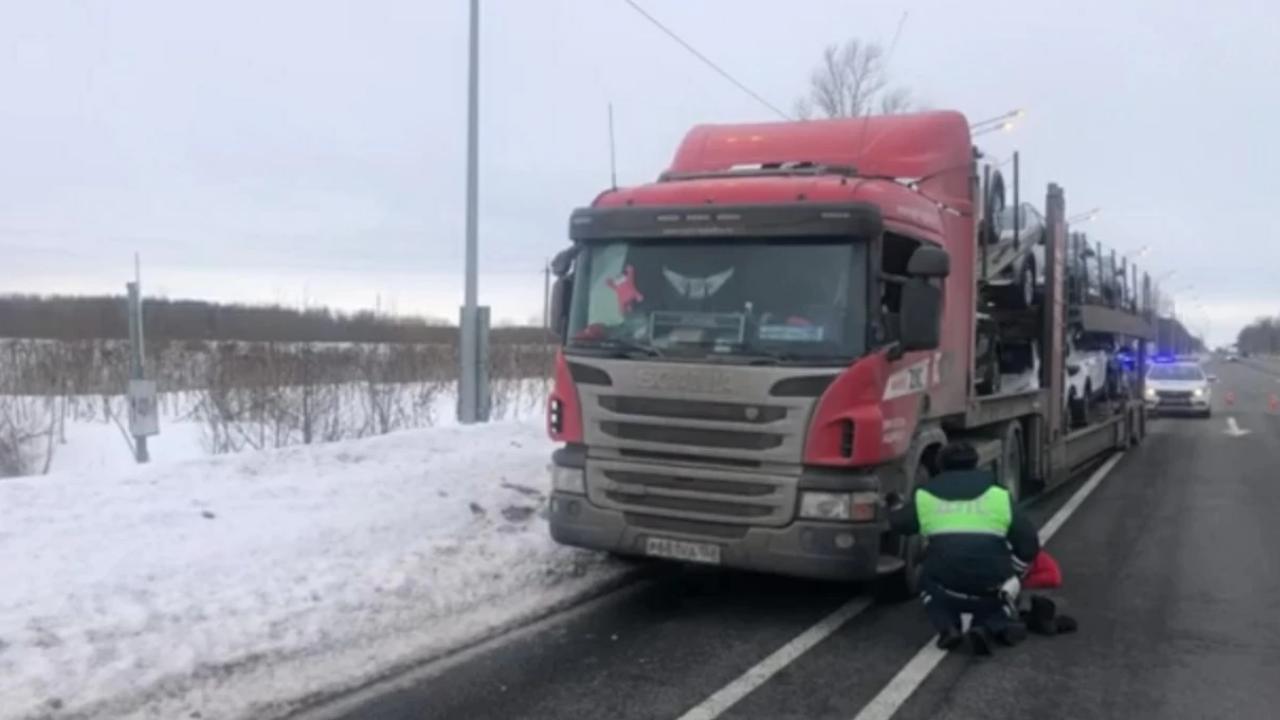 В Ленинградской области для задержания нетрезвого водителя автовоза инспекторы ДПС применили оружие