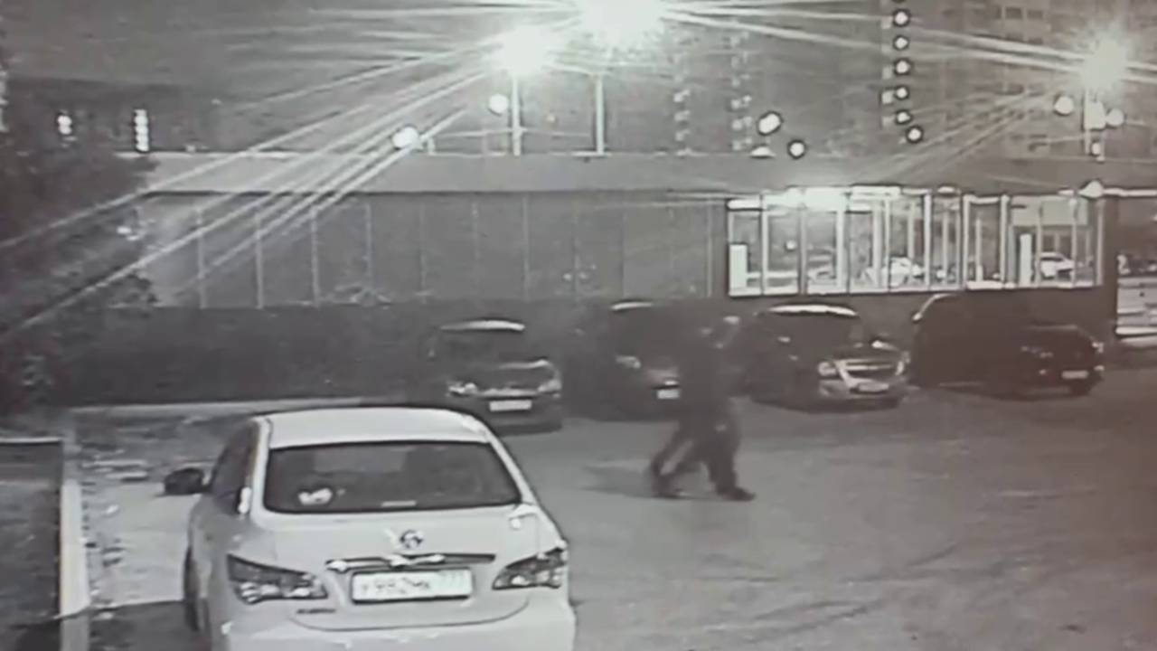 Двое налётчиков, угрожавших москвичу клинком и пневматическим пистолетом, задержаны полицейскими