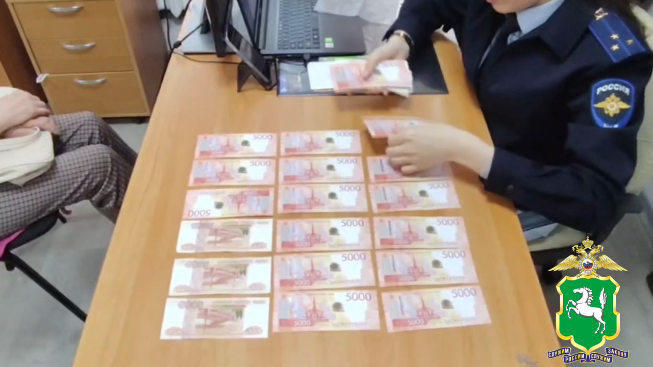 В Томске полиция расследует онлайн-аферы, в которые мошенники вовлекли обманутую ими пенсионерку