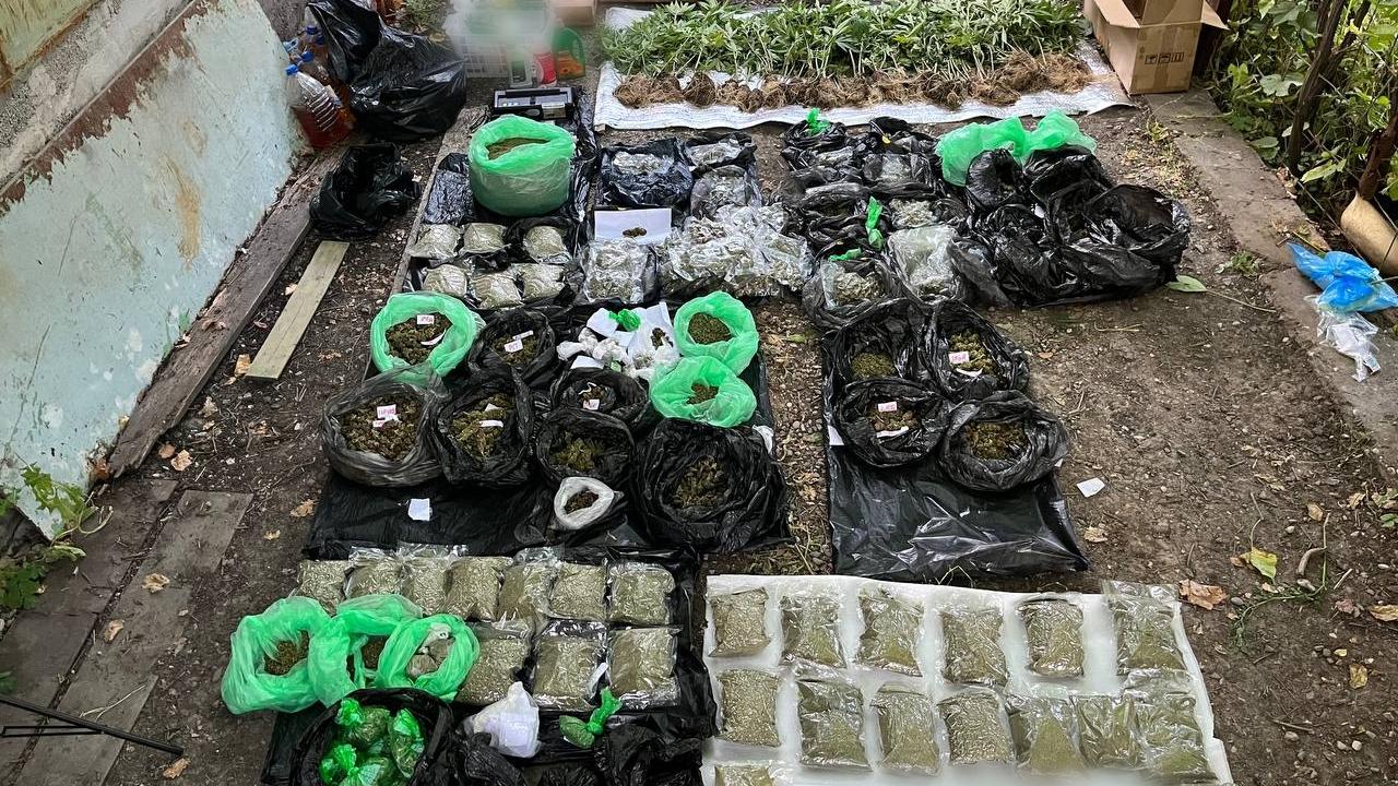 В Астраханской области полицейские обнаружили на дачном участке местного жителя около 13 кг марихуаны
