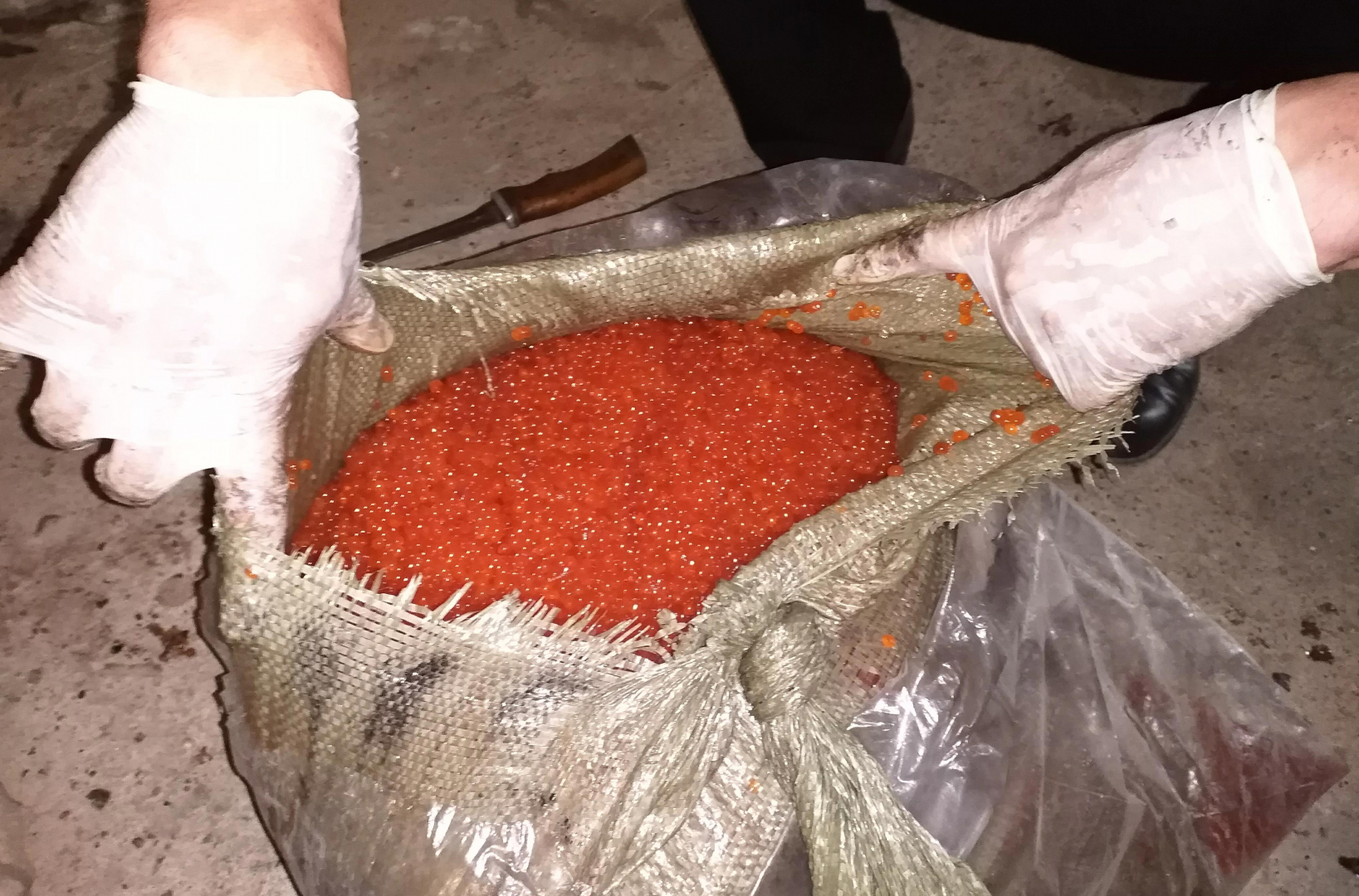В Хабаровском крае возбуждено дело о незаконной добыче водных биологических ресурсов