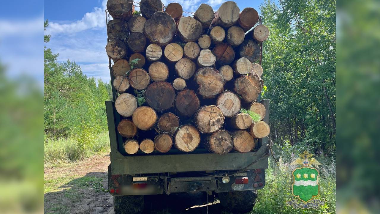 В Приамурье за заготовку деревьев на сумму около 2 млн рублей задержаны четверо «чёрных лесорубов»