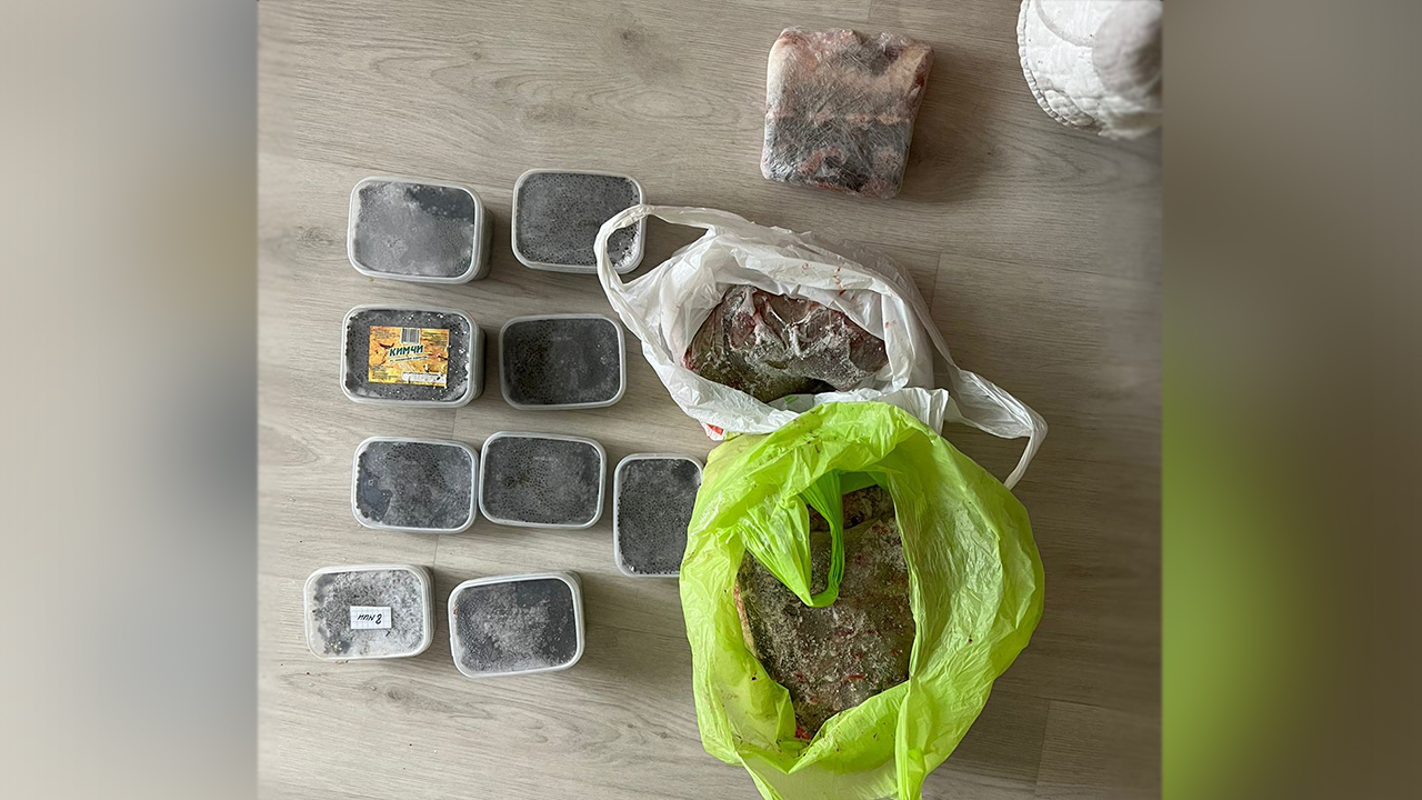Жителя Амурска осудят за незаконное хранение свыше 15 кг чёрной икры и кусков краснокнижных осетров