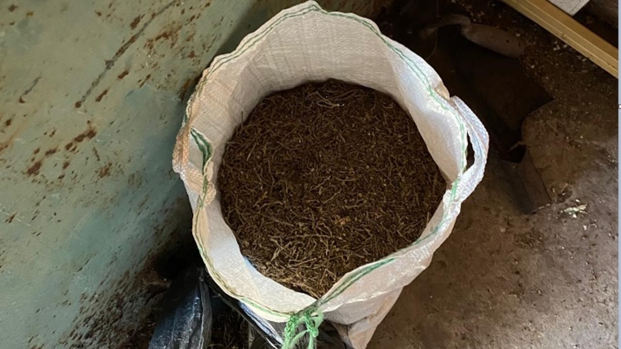 В Красноярском края местный житель заготовил для личного употребления 2 кг марихуаны