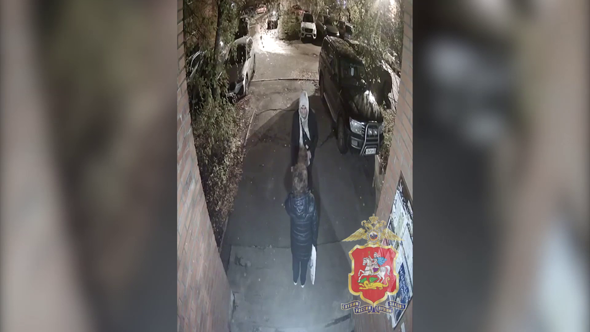 В Коломне полицейские уличили двух иногородних граждан в обмане пожилой жительницы Подмосковья