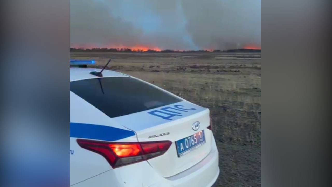 Полиция Тувы привлекла к ответственности родителей юных виновников пожара, охватившего более 400 га
