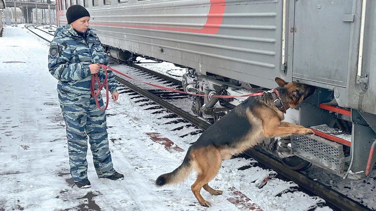 Мондьоринг для Вульфа