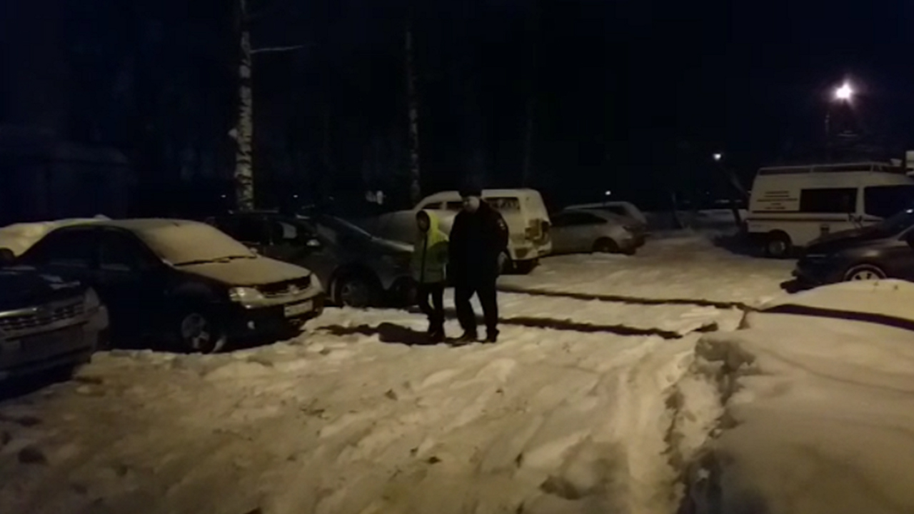 В Нижегородской области полицейские совместно с добровольцами помогли разыскать ребёнка
