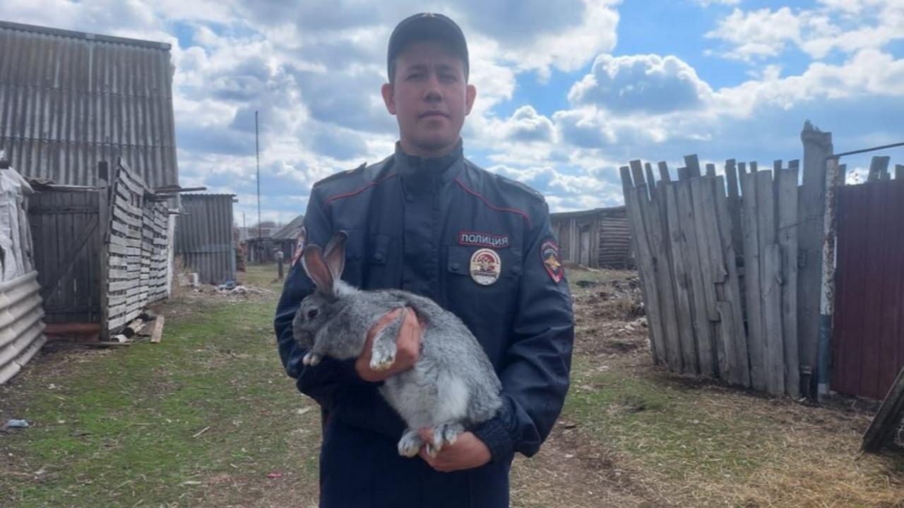 Самарская полиция установила 18-летнего организатора и 17-летнего исполнителя хищения 16 кроликов