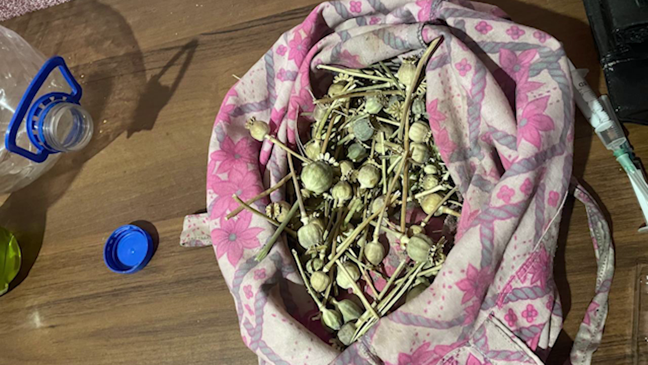 Полицейские в Запорожской области выявили наркопритон и изъяли 125 головок мака