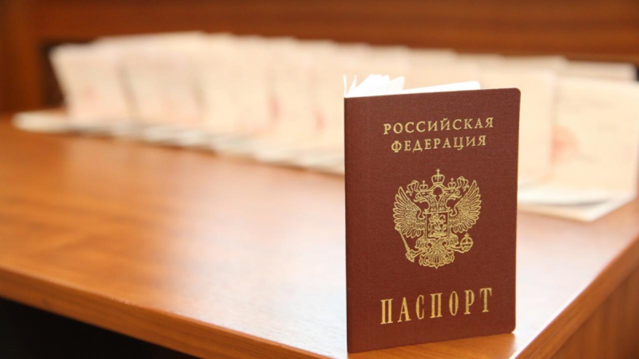 Ирина Волк: Прекращено российское гражданство лиц, создающих угрозу национальной безопасности Российской Федерации