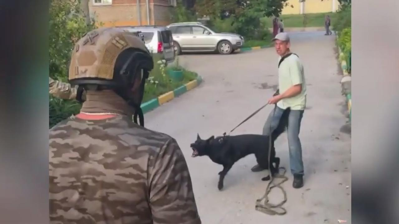 Ирина Волк: В Туле при задержании наркодилер оказал сопротивление полицейским и спустил с поводка свою собаку