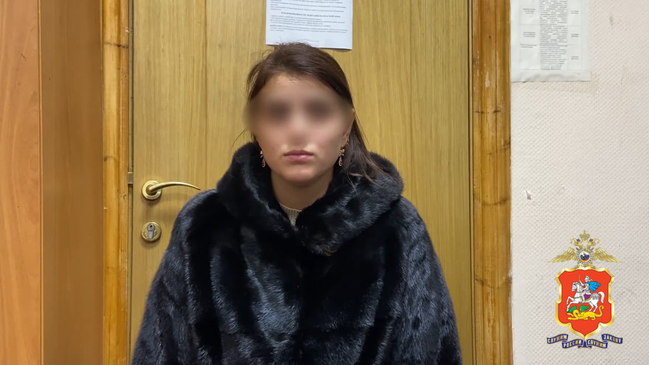 Подмосковные полицейские задержали в Вологде подозреваемую в краже 33 банок детского питания