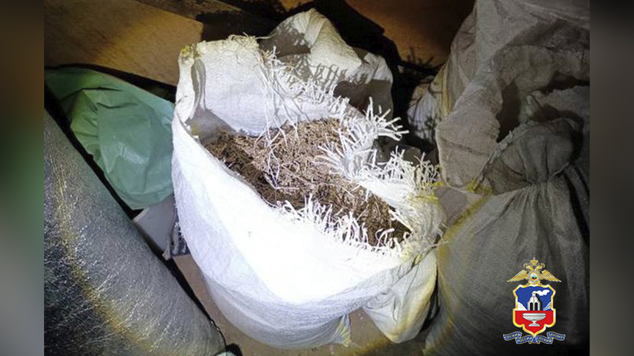 На Алтае полицейские возбудили уголовное дело в отношении наркодельца, заготовившего 18 кг марихуаны