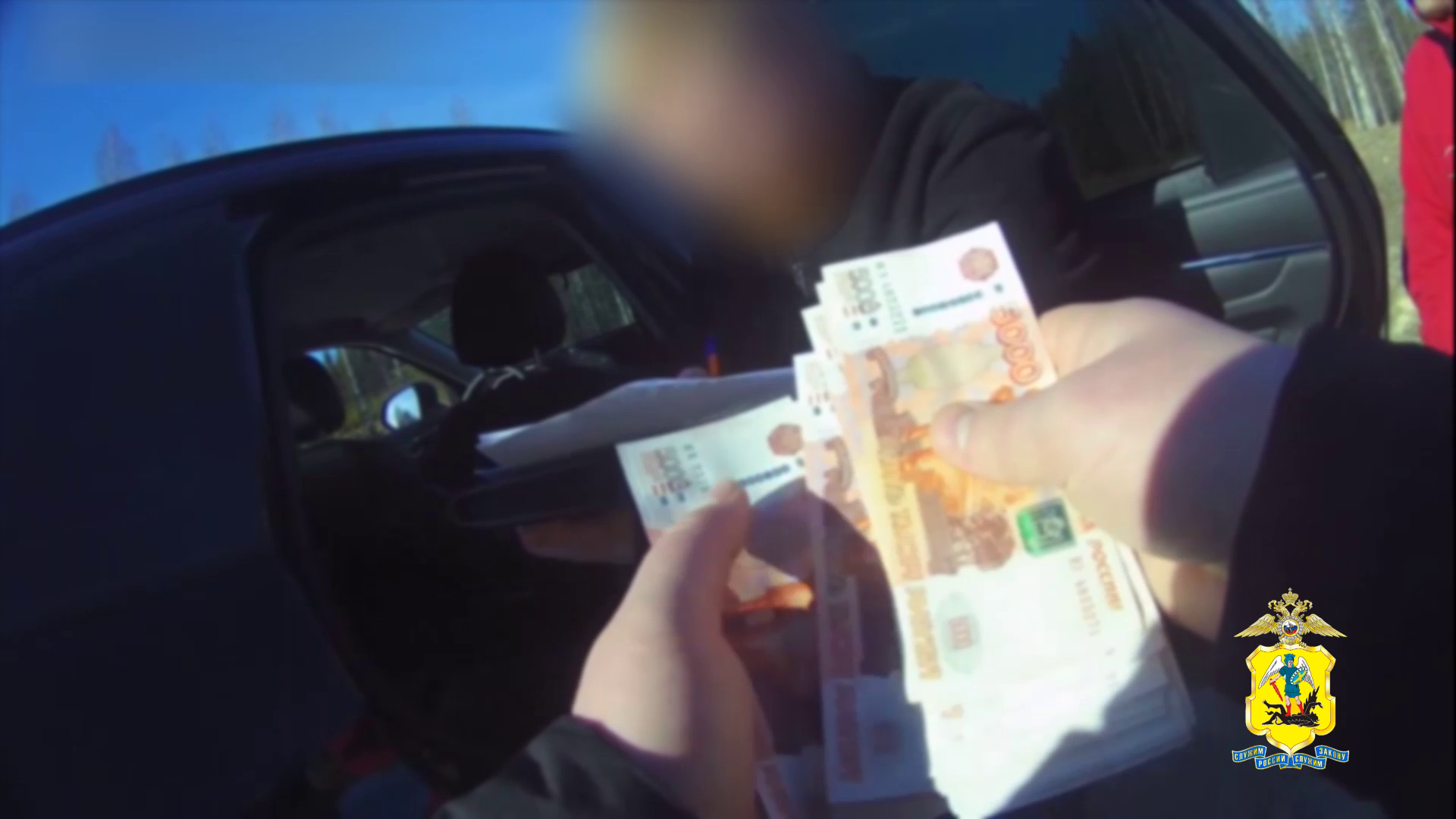 Замдиректора участкового лесничества в Архангельской области задержан полицией за получение взятки