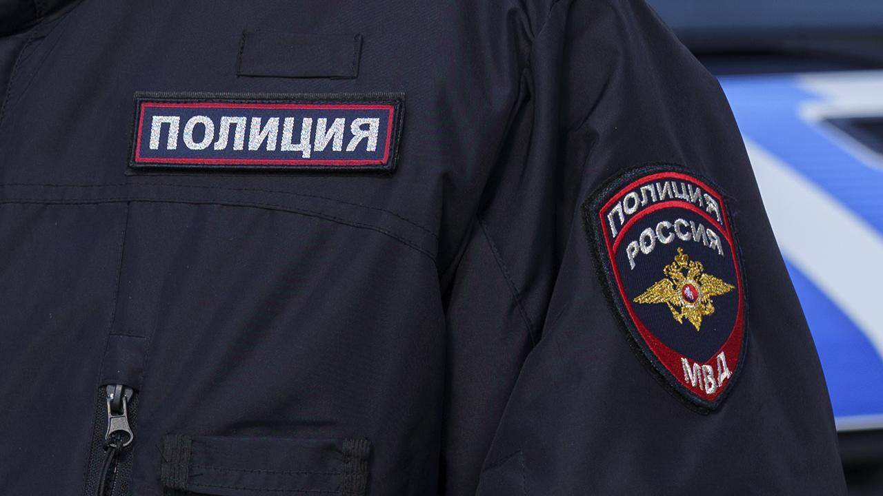 Полицейскими задержан мужчина, избивший в метро Москвы пассажира, который случайно задел его плечом