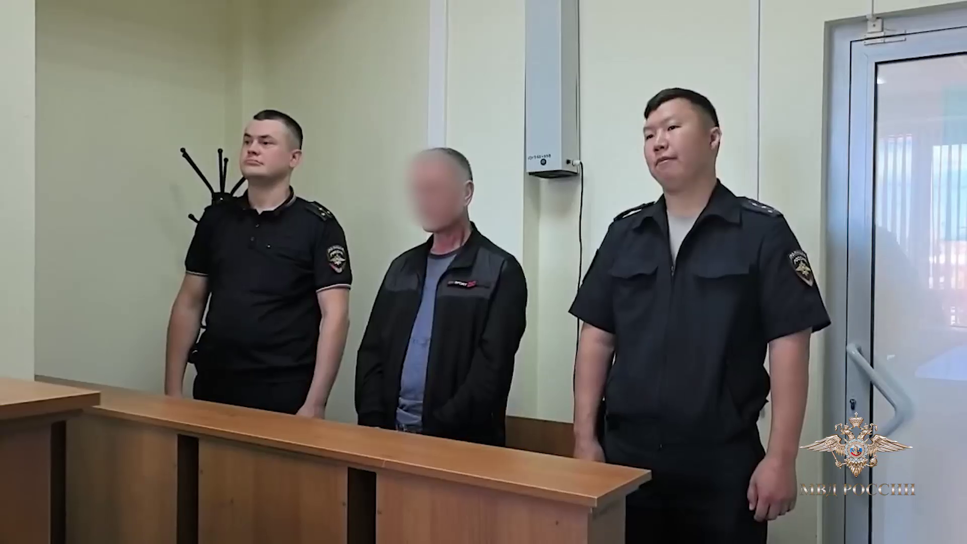 Ирина Волк: В Иркутске арестован водитель, который задержан полицейскими за наезд на школьников
