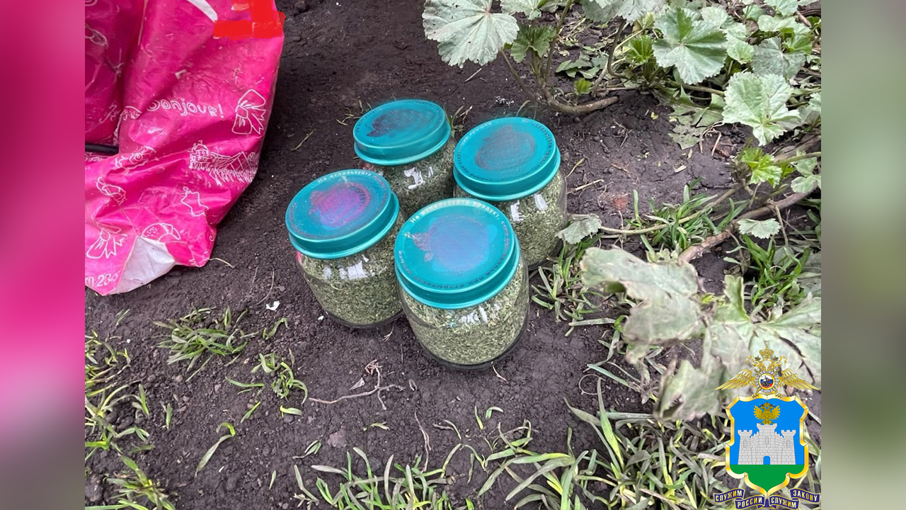 Почти 3 кг конопли и хранившуюся в баночках из-под детского питания марихуану изъяла орловская полиция