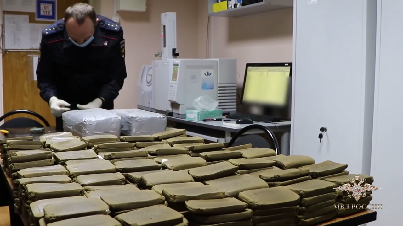 Ирина Волк: Во Владимирской области полицейские изъяли у местного жителя более пятидесяти килограммов наркотиков