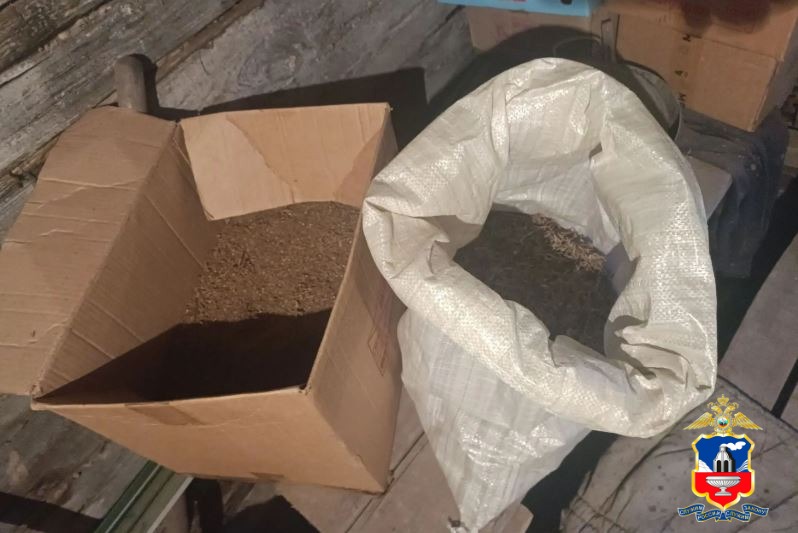 В Алтайском крае оперативники уличили сельчанина в заготовке 4 килограммов дикорастущей конопли