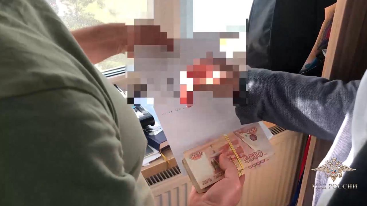 Ирина Волк: В Ленобласти полицейскими задержаны подозреваемые в хищении бюджетных денег
