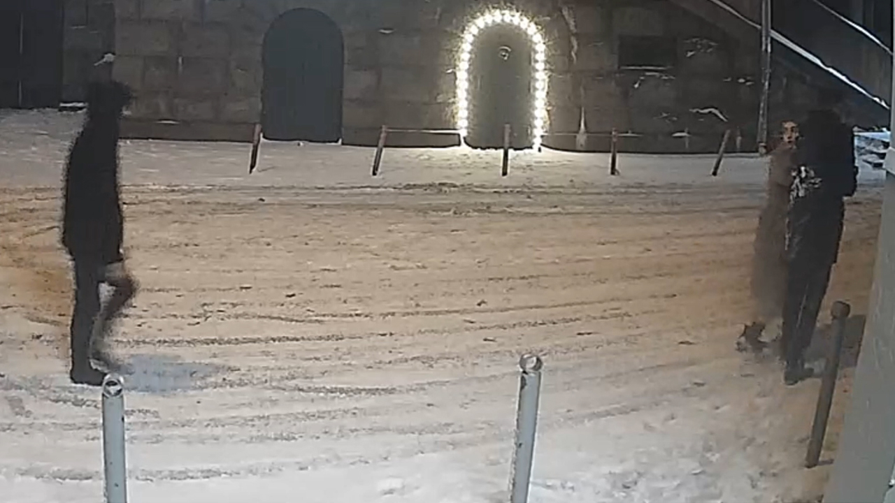 В Москве полицейскими задержана семейная пара, подозреваемая в двух разбойных нападениях