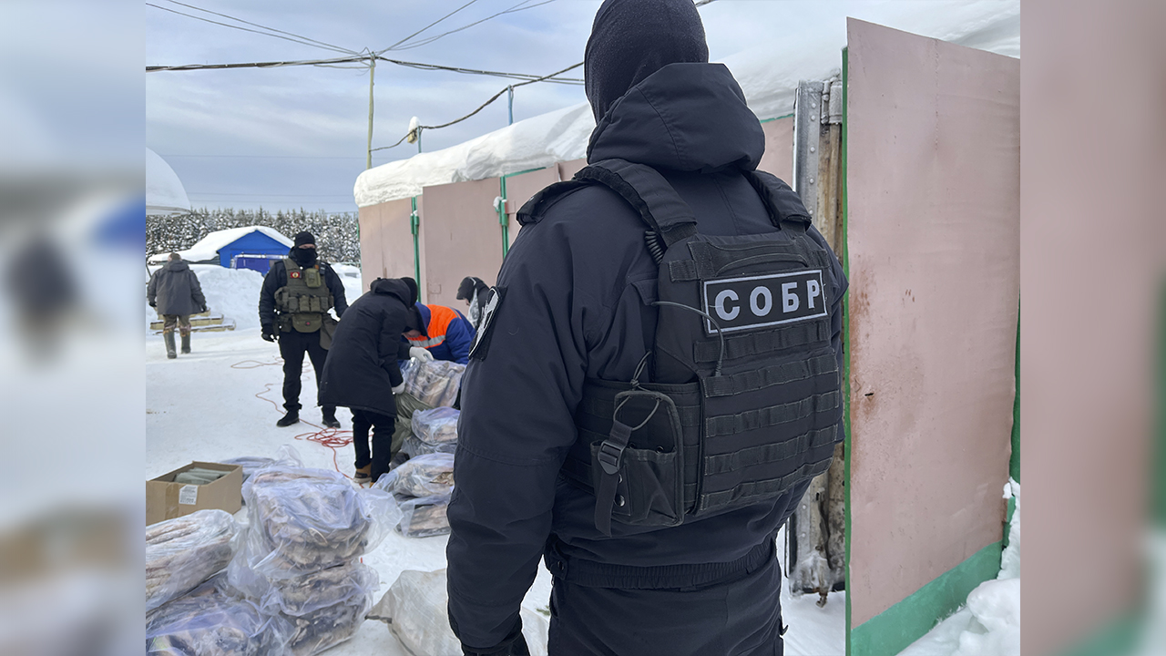 Полиция Коми изъяла у двух бизнесменов-партнёров порядка 13 тонн немаркированной мороженой рыбы