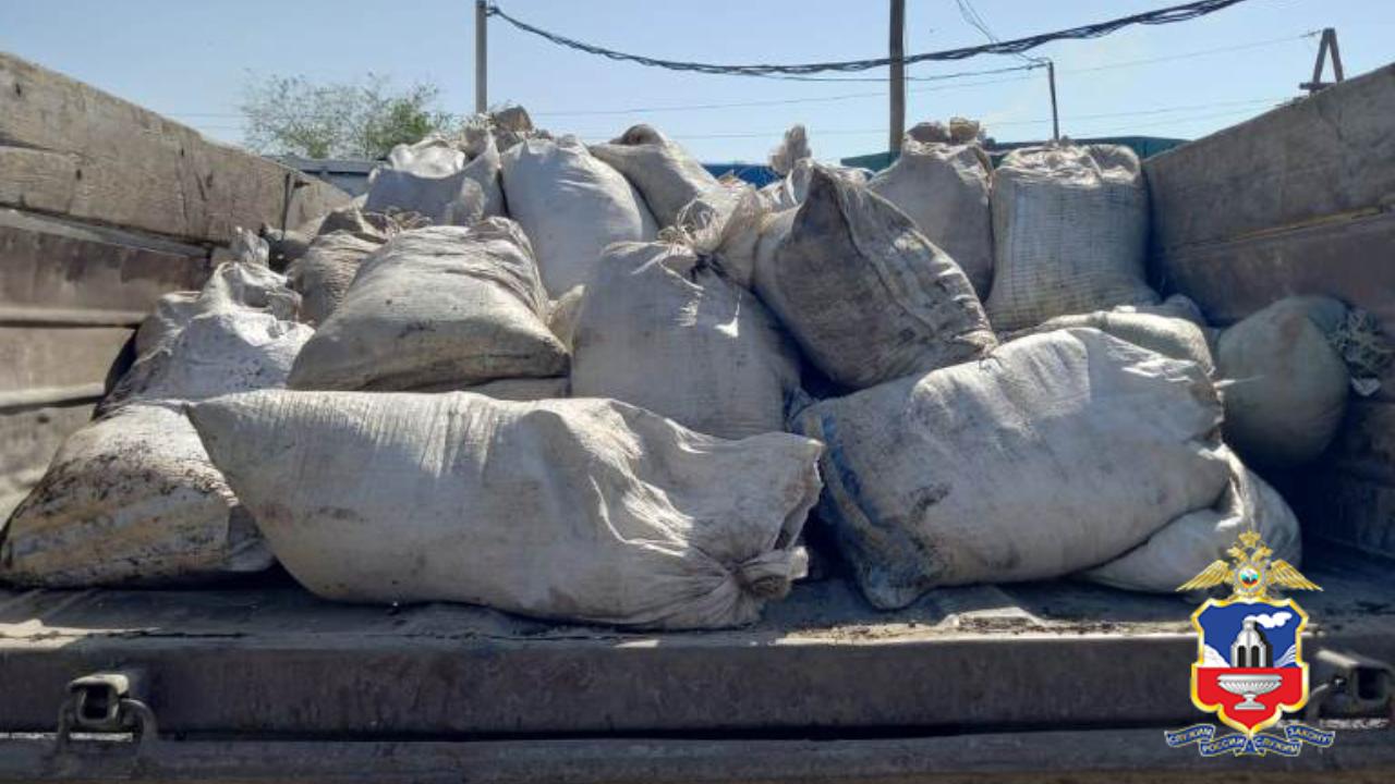 В Алтайском крае в суд передано уголовное дело о незаконном вылове более 3 тонн рачков артемии