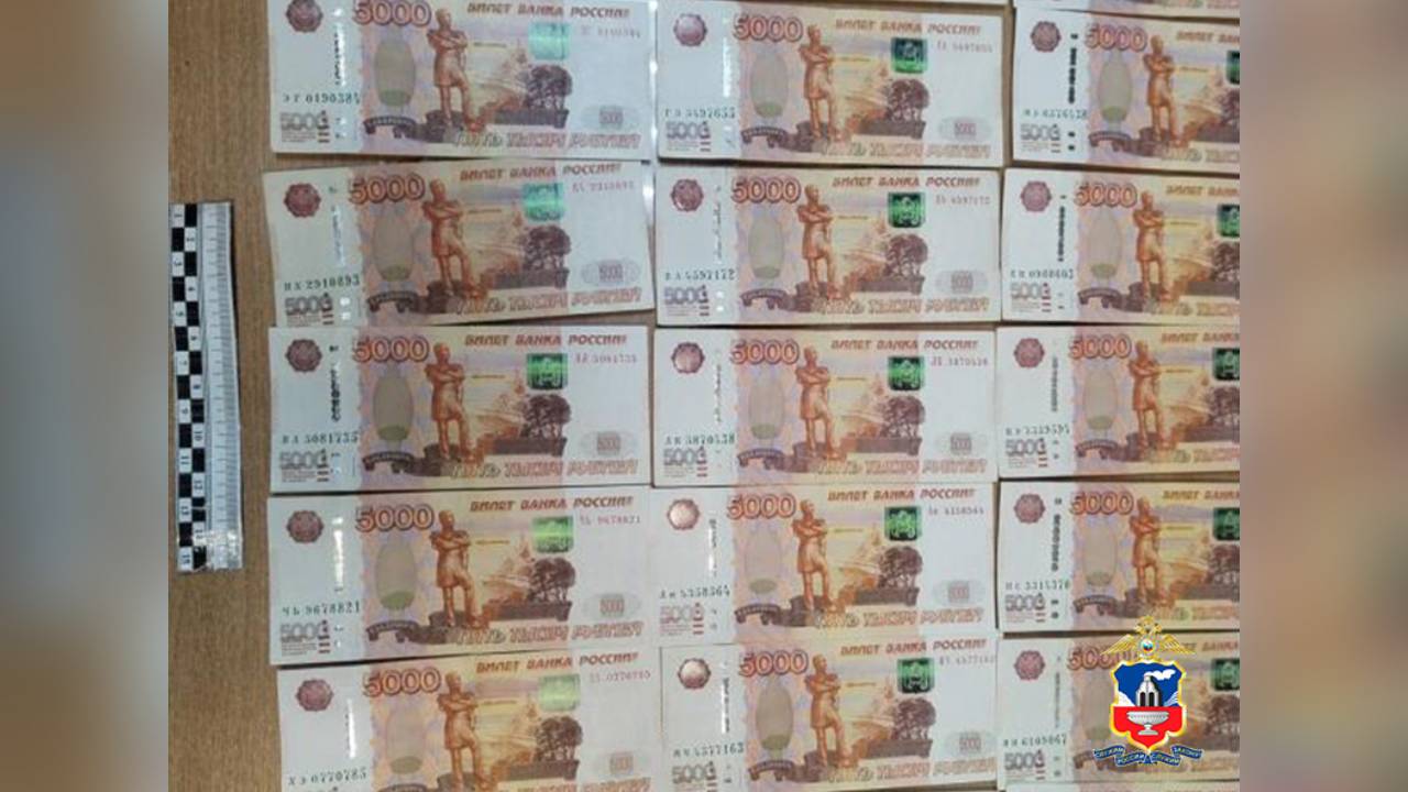 Полиция Алтайского края раскрыла кражу 400 тысяч рублей, совершённую в новогоднюю ночь у сельчанки