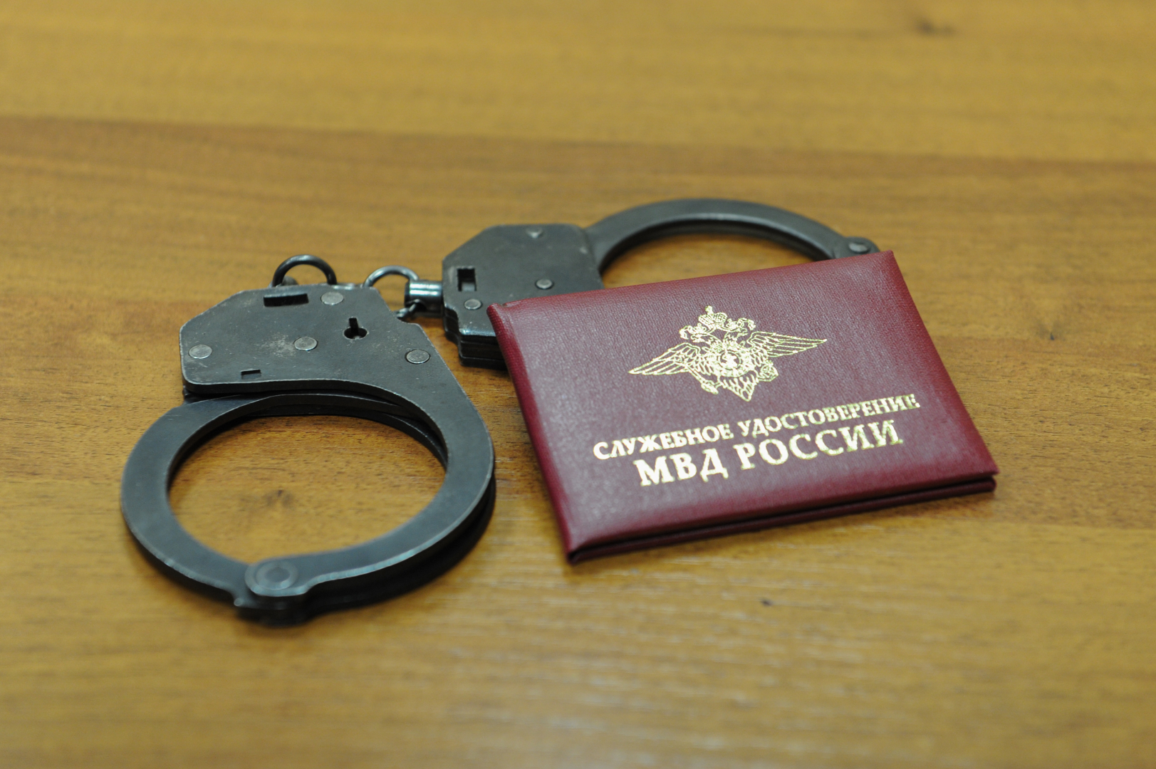 Ирина Волк: Сотрудники ГУУР МВД России установили новые обстоятельства убийств, совершенных для завладения столичной недвижимостью