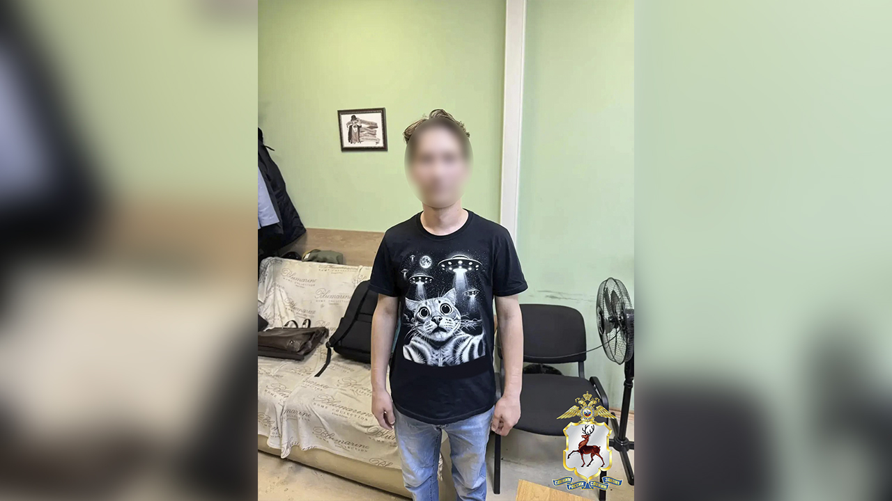 Житель Нижнего Новгорода взят под стражу за помощь онлайн-аферистам в хищении 49 млн рублей у граждан