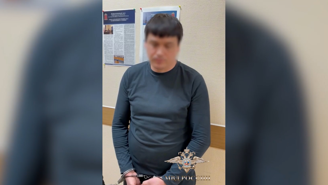 Ирина Волк: В Петербурге полицейскими задержан подозреваемый в интернет-мошенничестве