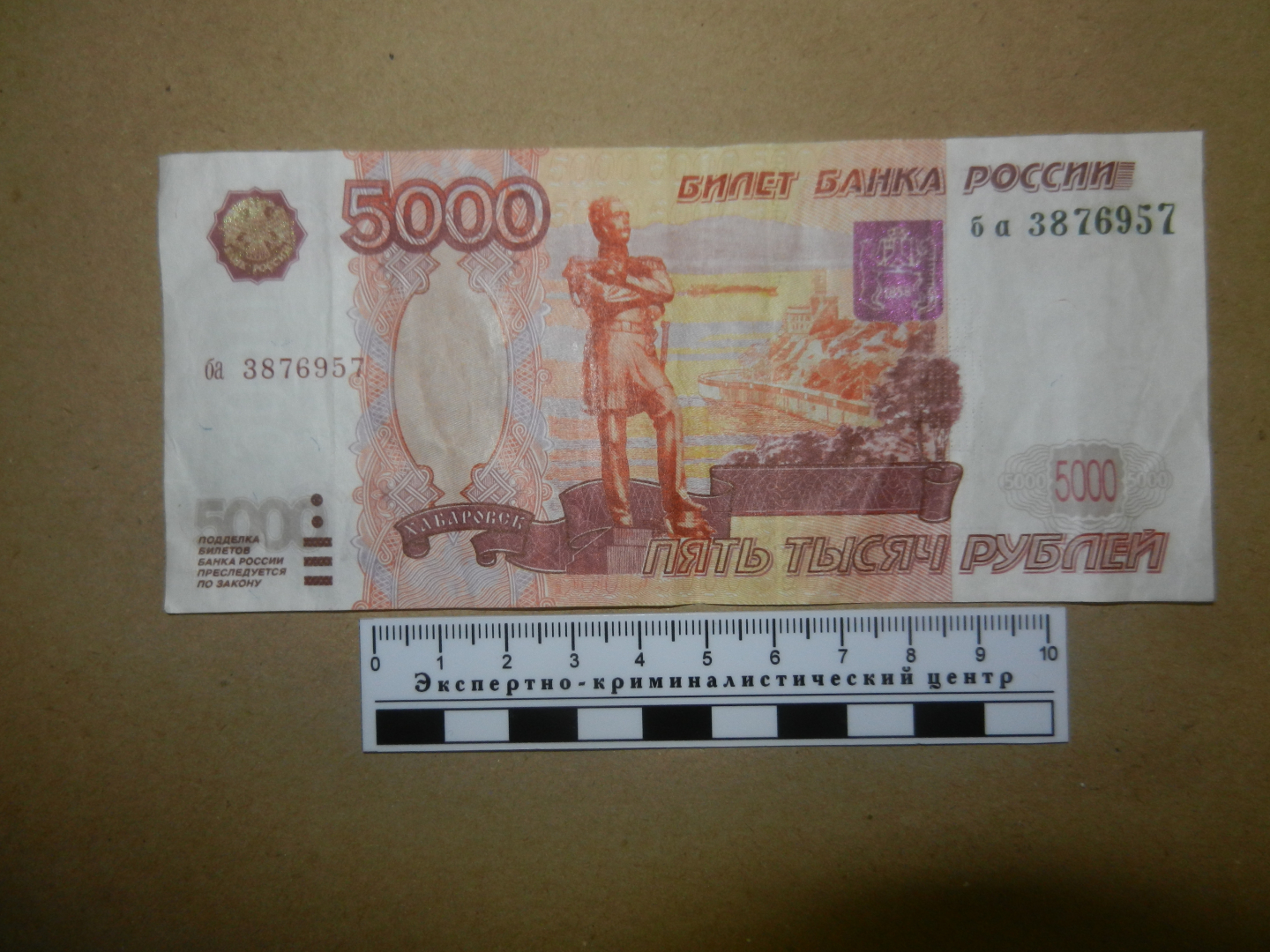 Жителя Коми будут судить за выращивание конопли, торговлю марихуаной и сбыт фальшивок
