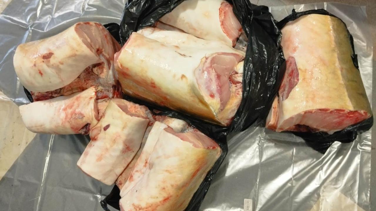 В Хабаровском крае местный житель стал фигурантом уголовного дела за вылов краснокнижных осетров