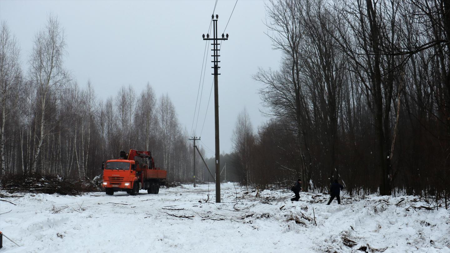 Незаконную рубку деревьев на 1 млн рублей для установки ЛЭП раскрыла полиция в Пензенской области