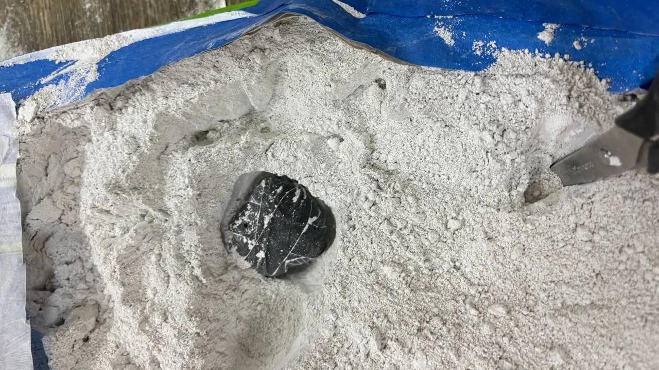 В Приморье полиция пресекла поставку в колонию масла каннабиса, спрятанного в мешке с гипсовой смесью