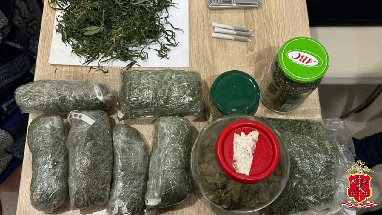 Полиция изъяла у выращивавшего коноплю жителя Ленобласти свыше 4 кг растительных наркотиков