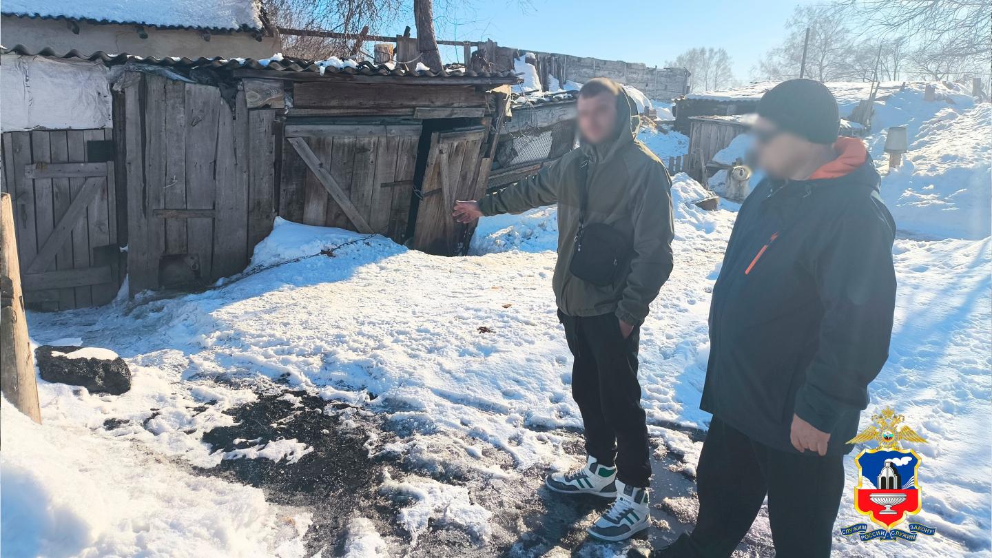 В Алтайском крае осудят сельчанина, который лопатой покалечил собак, находившихся на цепи в чужом дворе