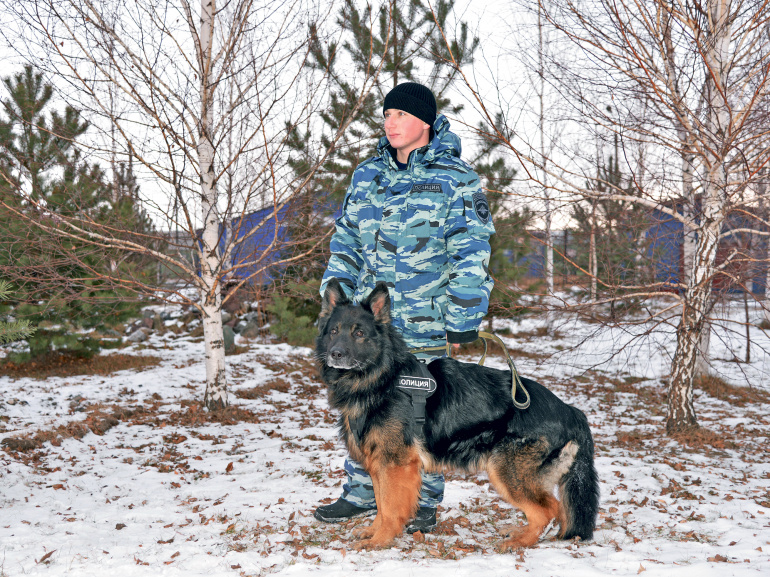Муха нос по ветру держит