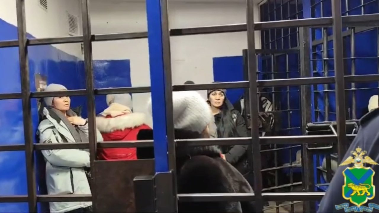 В приморском городе Артёме возбуждено уголовное дело об организации канала незаконной миграции