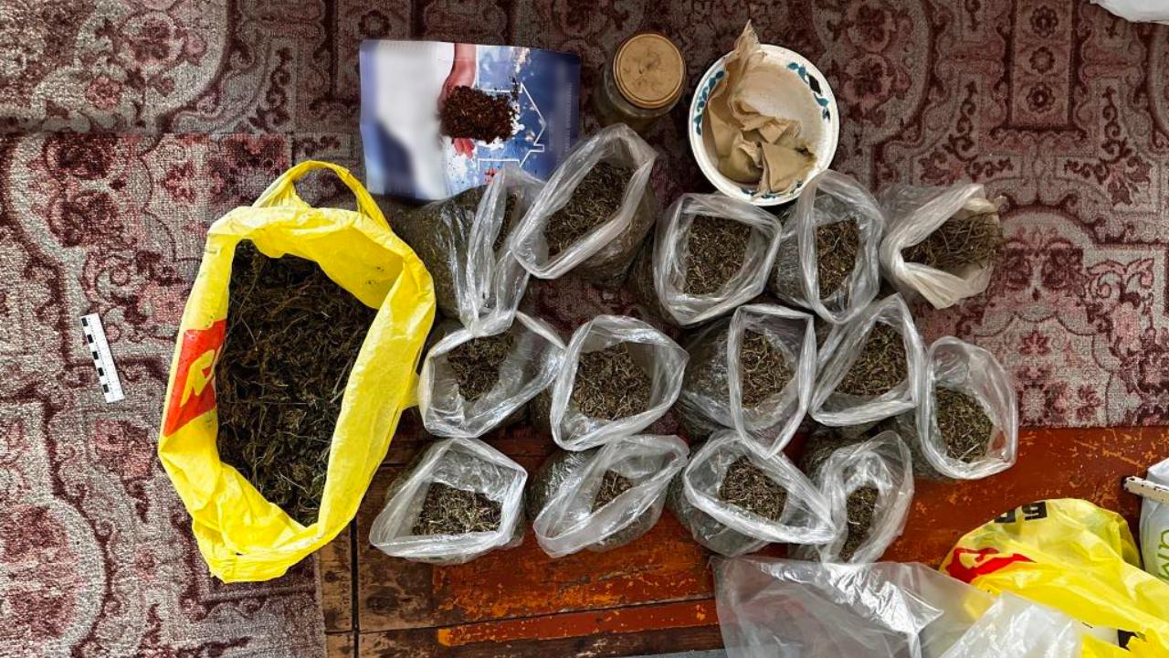 Житель Хабаровского края уличён полицией в хранении почти 1,7 кг марихуаны и употреблении наркотиков