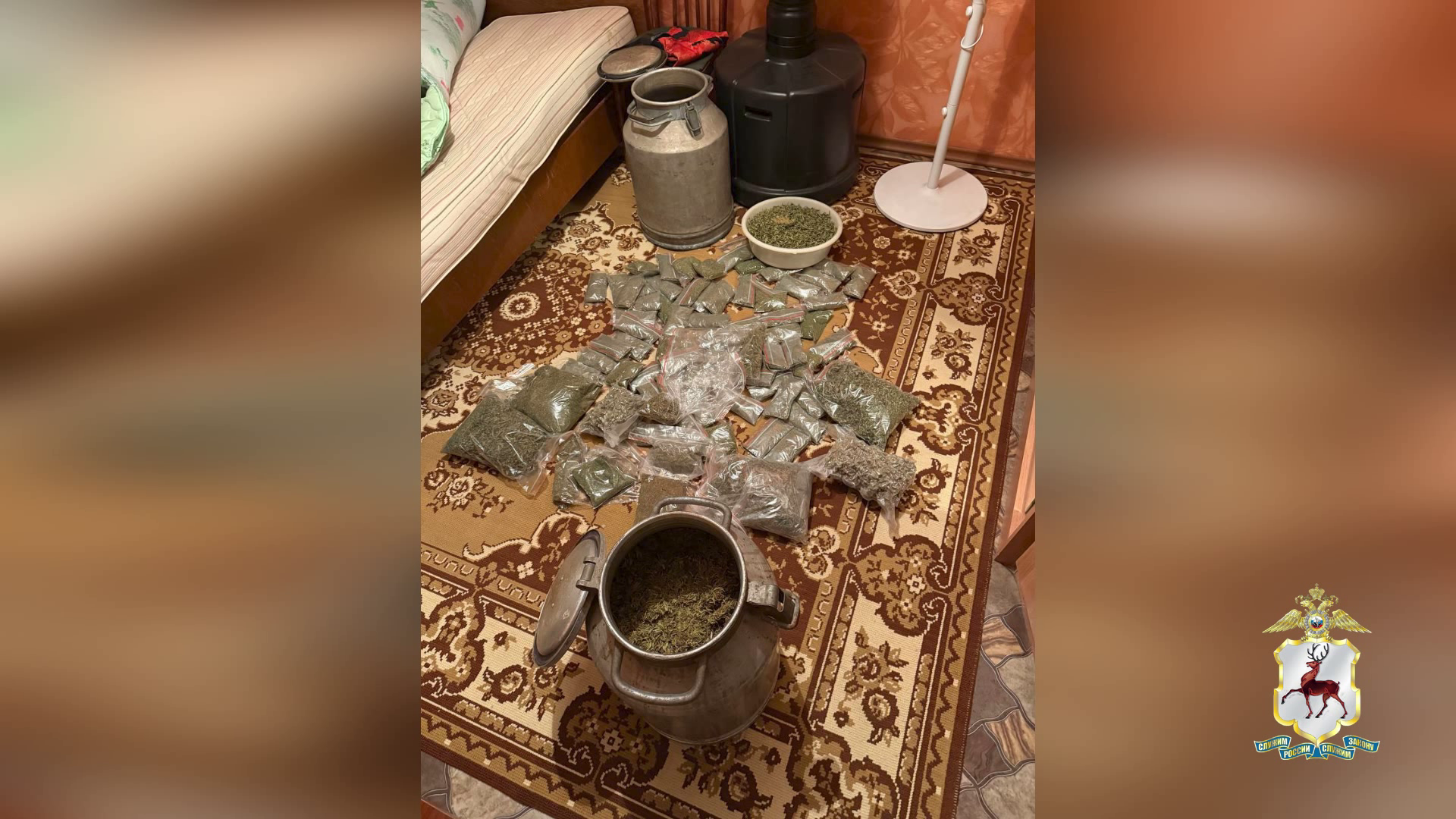 Три фляги и девять банок с «дурман-травой» массой 7 кг изъяла полиция Нижнего Новгорода у наркосбытчика